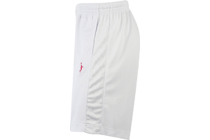 IN THE PAINT[CUyCg] IN THE PAINT SHORTS / CUyCg V[ciIN THE PAINT CUyCg Y jZbNX vNeBXpc zCgj