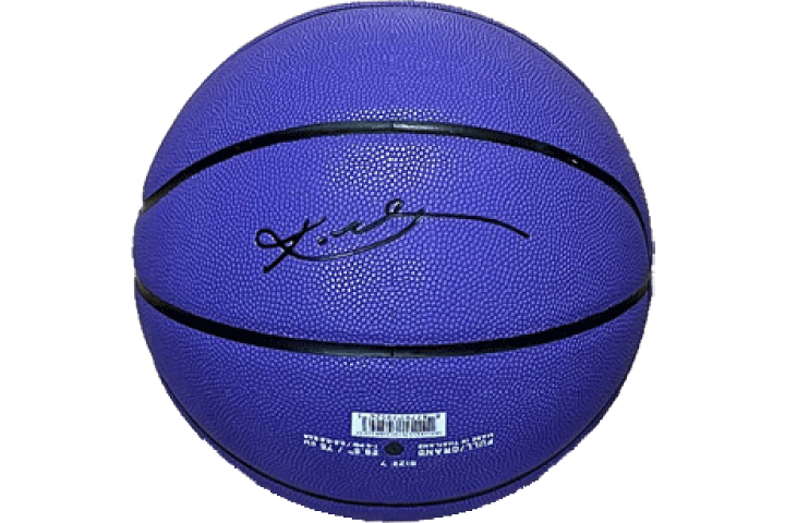 【セール】PANININABSOLUTEコービー・ブライアント24/75 楽天市場】NIKE/KOBE[ナイキ/コービー] ナイキ オールコート