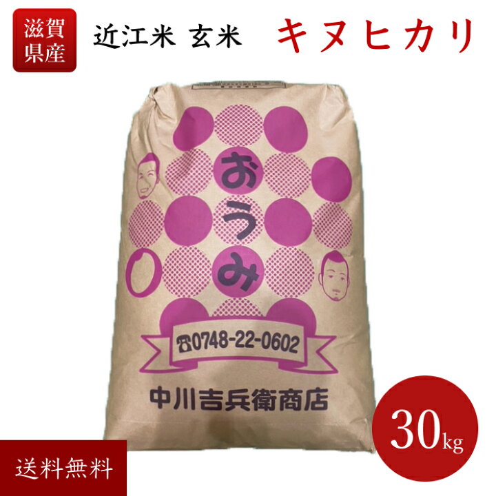 楽天市場】近江米 令和6年 玄米 30kg 滋賀県産 キヌヒカリ 送料無料  