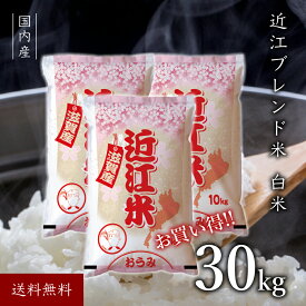 国産 ブレンド米 近江米 滋賀県産 精米 30kg こめ コメ おこめ 白米 ブランド米 美味しい米 滋賀 滋賀県 お取り寄せ 美味しい 米 お米 30キロ おいしいお米 30k 米30キロ 30キロ米 30 お米30kg お米30キロ 大容量 大家族 贈り物 おいしい ふっくら 仕送り 送料無料