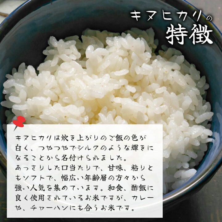 楽天市場】令和7年産 滋賀県産 10キロ キヌヒカリ 近江米 きぬひかり 