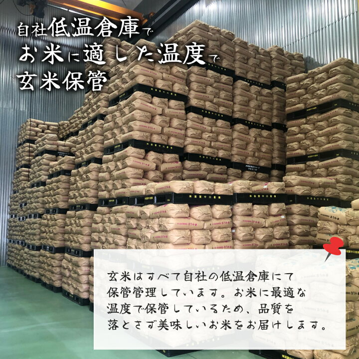 楽天市場】令和5年 滋賀県産 近江米 コシヒカリ 30kg 玄米 送料無料  