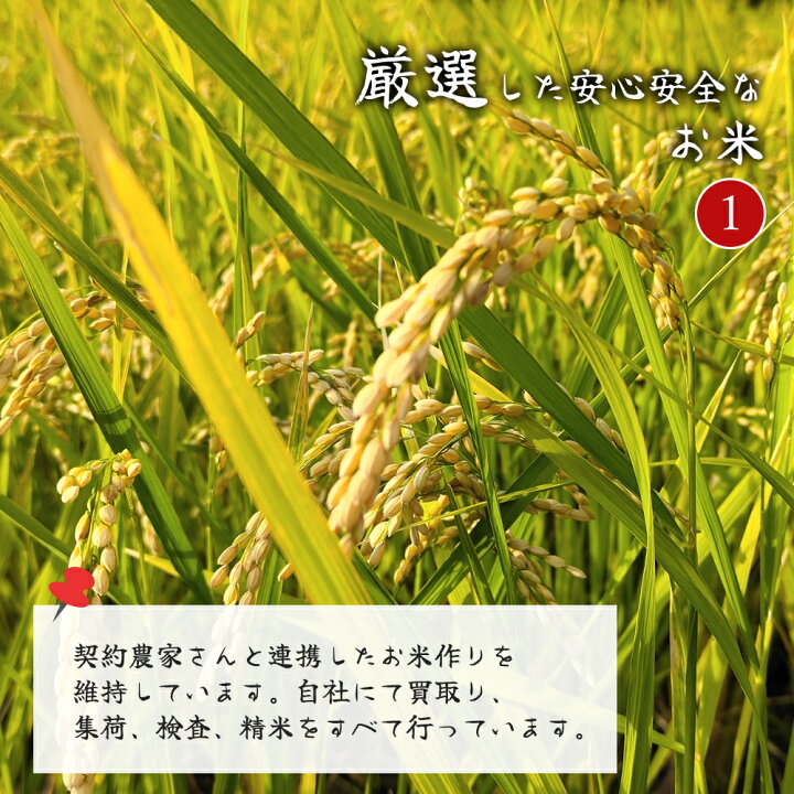 楽天市場】令和7年 滋賀県産 近江米 コシヒカリ 30kg 玄米 送料無料 