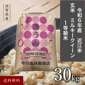 近江米ミルキークイーン 令和6年 玄米 30kg 滋賀県産 ミルキークイーン 送料無料 ミルキークィーン 滋賀県 お米30キロ 30キロ米 滋賀 令和6 美味しいお米 玄米30キロ 30キロ 令和6年産 美味しい お米 おこめ オコメ 米30k 米30キロ 高級米 近江 おいしい 米