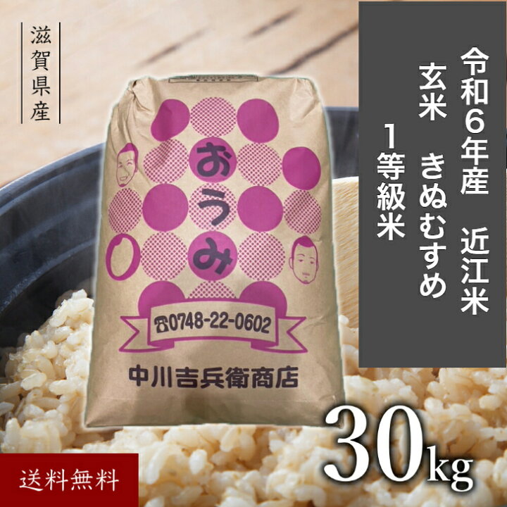 令和6年産 きぬむすめ 玄米30キロ