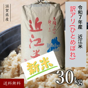 V ߍ] ߘa7N  30kg ꌧY ЂƂ߂ڂ  ꌧ30L   30L 30L ߘa7NY     30k 30L  ߍ] Y 