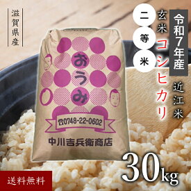 令和7年 滋賀県産 近江米 コシヒカリ 30kg 玄米 送料無料 新米 2等米 2等米 滋賀 滋賀県 玄米30キロ 30キロ米 30キロ 30k 令和7年産 こしひかり 美味しい お米 おこめ 米 米30k 米30キロ お米30キロ もちもち モチモチ うるち米 高級米 近江 国産