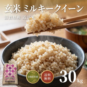 玄米30kg 令和7年度」の人気商品一覧・価格比較 - 価格.com
