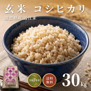 �ߍ]�� ���� �R�V�q�J�� �ߘa7�N�x�Y ���ꌧ�Y 30kg �������� 2���� �����Ђ��� �� ���� 30�L�� ����30kg ����30�L�� ��e�� �܂Ƃߔ��� �Ɩ��p ���ĐH ���Y