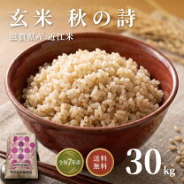 楽天市場】30kg 玄米の通販