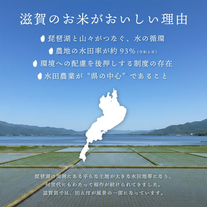 楽天市場】近江米 ミルキークイーン 30kg 玄米 令和7年度産 滋賀県産 