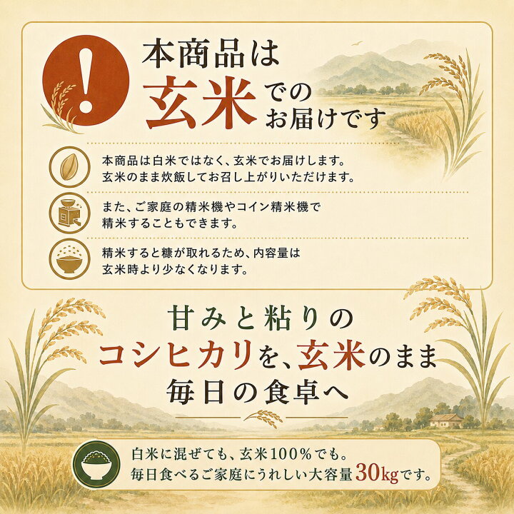 楽天市場】近江米 玄米 コシヒカリ 令和7年度産 滋賀県産 30kg 送料 