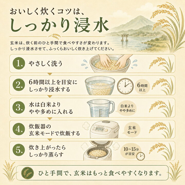 楽天市場】近江米 ミルキークイーン 30kg 玄米 令和7年度産 滋賀県産 