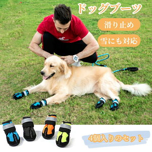 pC hbOu[c hbOV[Y 4Zbg ^ ی J̓ Uu[c C C OE둫h }WbNe[v ybgē~pC ɂΉ U o| h~ 