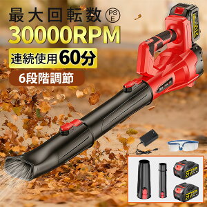 u[ [d R[hX  uA[ 18V obe[Ή 6iKʒ ^ y2.1kg GW75m/s Wo@ ΂ t  ႩΉ  vdl u uA[ 