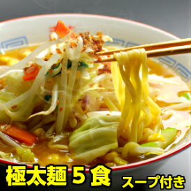 もちもち感がたまらない プロが選んだ 極太麺 5食入り お取り寄せグルメ ラーメン お取り寄せ ラーメンセット ※簡易包装 スープが選べます。