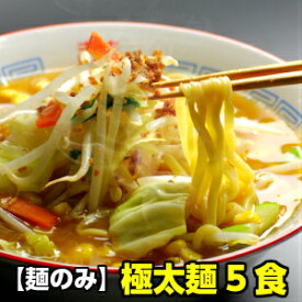 5食入り 極太麺 ラーメン 麺だけ別売り (※こちらは、麺のみの販売となっておりますのでスープは付きません。予めご了承ください。)