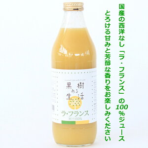 ʎ鐶 mEtXW[X 1000ml×6{