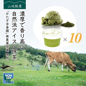 ySuperSale聚10OFFzhV̓ 2025 Mtg Ȃقq ACXN[ 10   sgp Y lߍ킹 XC[c OXtFbh L@   mⓀn gift p