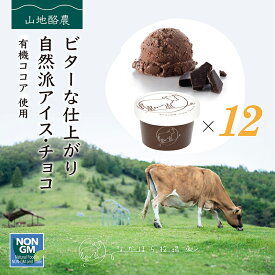 御中元 2025 ギフト なかほら牧場 アイスクリーム 12個 チョコレート 送料無料 卵不使用 無添加 詰め合わせ スイーツ グラスフェッド 有機 お取り寄せ 送料込み ［冷凍］ gift pu