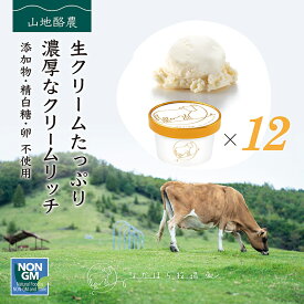 御中元 2025 ギフト なかほら牧場 アイスクリーム 12個 送料無料 プレミアム 無添加 生クリーム 詰め合わせ スイーツ ご褒美 卵不使用 グラスフェッド お祝い 内祝 熨斗 誕生日 お取り寄せ 送料込み ［冷凍］ gift pu