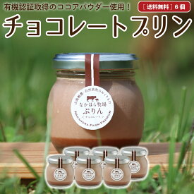 【6/5限定★ポイント10倍&5%OFF】父の日 お中元 ギフト なかほら牧場 スイーツ プリン 送料無料 詰め合わせ チョコレートプリン 6個 濃厚 無添加 お菓子 マツコの知らない世界 瓶入り お取り寄せ ランキング 内祝 誕生日 熨斗 ［冷蔵］ nov pu gift