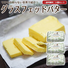 父の日 お中元 ギフト なかほら牧場 グラスフェッドバター 国産 【送料無料】 100g×3個 無塩バター 放牧バター 青空レストラン マツコの知らない世界 お取り寄せ ［冷蔵 / 冷凍可］ nov