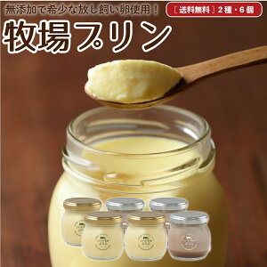 Ε 2025 Ȃقq v  lߍ킹 JX^[h `R v6 Z Y XC[c َq }cR̒mȂE r  LO j a l bZ[