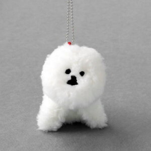 CLASKA Gallery & Shop "DO" iNXJ M[Vbv h[jMAMBO ʂ݃obO`[ 