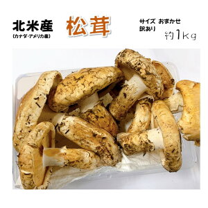  1kg 󂠂  k(AJEJi_)Y }c^P ܂ H̖o Mtg 蕨 ƒp  Gߌ {  1L AJ Ji_ k s꒼ 