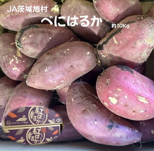 JA鈮 ׂɂ͂邩@5kg`10kg@錧Y ܂@g͂邩 LAO@₫@XC[g|eg@Ï@