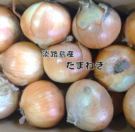 兵庫県淡路島産 たまねぎ 2Lサイズ・Lサイズ 玉ねぎ 玉葱 家庭用 業務用 たまねぎ オニオン 淡路島 淡路…