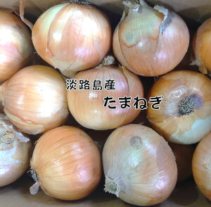 ɌWHY ܂˂ 2LTCYELTCY ʂ˂ ʔK ƒp Ɩp ܂˂ IjI WH WH܂˂ WH܂˂ J[ V`[ T_@s꒼