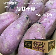 JA茨城旭村 旭甘十郎 べにはるか 茨城県産 丸形　紅はるか さつまいも