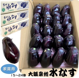 【家庭用】大阪泉州JAいずみの　水なす 15〜24個　約3kg　風袋込およそ4kg 水茄子　水ナス　みずなす 楽天デイリーランキング　ナス部門ランクイン☆