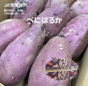 JA鈮 ׂɂ͂邩 錧Y ی`@g͂邩 ܂@₫@XC[g|eg@rbOTCY