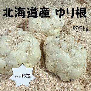 kC@荪 悻45 悻5Kg@Y S q ƒp@Ɩp@