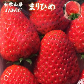 送料無料！【曜日指定ができない商品です】和歌山県JAありだ　まりひめ　約300g（約11〜15玉)×2パック入り