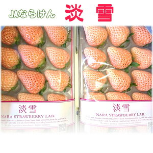 ޗǌJAȂ炯@WႢ1i250g×2pbNj@NX}XɍœKI1210̔ƂȂ܂