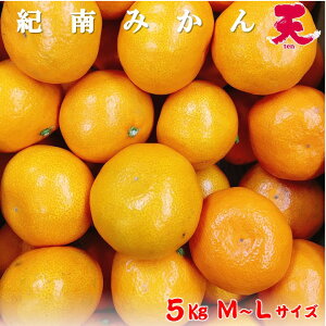 a̎R@In@؏n݂@V@5KgiM`Lj@121ȍ~̔ƂȂ܂I