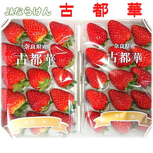 ޗǌJAȂ炯@Ós 1i250g×2pbNj@NX}Xv[gɁI@12{ȍ~̔ƂȂ܂