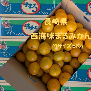 茧@C@܂݂@5KgiMj@pɁI@MtgɍœKI