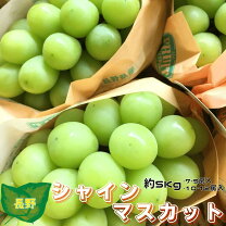 楽天市場】シャインマスカット 5kgの通販