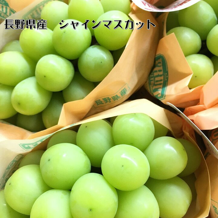 楽天市場】【シャインマスカット】長野県JAながの須高 約5kg 7〜9房  