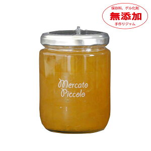 yYz䂸 280g J[gsbR W W YW W Y W Mtg