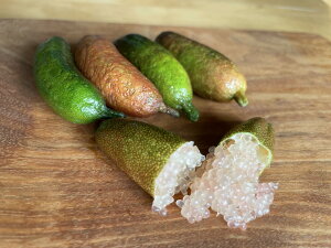 ���Y�t�B���K�[���C�� �󂠂�50g �T�C�Y�s���� ���Q �����Y �m�[���b�N�X