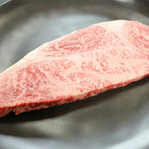 y11@pSALE@zzA4-5N@R`@200gx4@T[C@Xe[L@Ε@Ε@̓@Mtg@wj@Əj@AEj@j@@R`T[CX