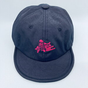 iC AEghALbv iCLbv Lbv Xq  TNV-100 AEghA X|[c X 