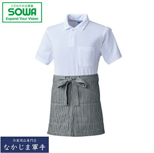 SOWA \[ Ka 10120Gv F I[V[YΉ ƒ ƕ