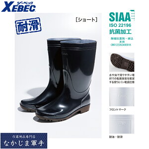 XEBEC W[xbN85765 PVCC ƒ ƕ